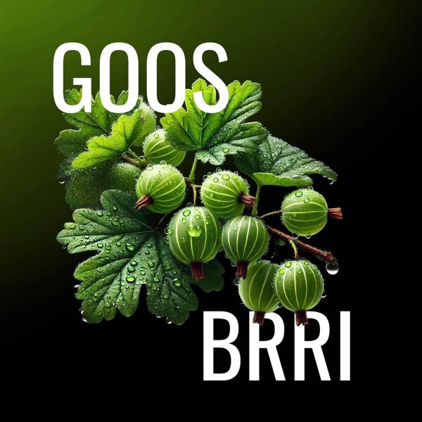 Must H Tabak 125g - Goos Brri