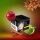 Al Fakher The Double Crunch 200 g Wasserpfeifentabak