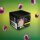 Al Fakher Grapio 200 g Wasserpfeifentabak