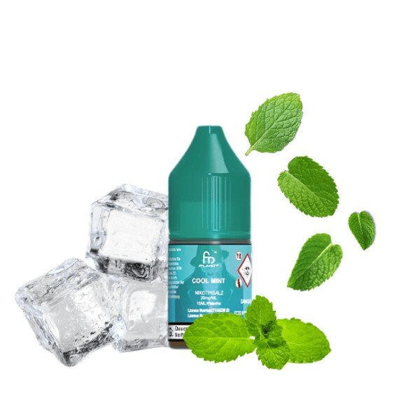 Tornado RandM 20mg Liquid Cool MInt