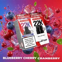 Mega Bar GT 22000 Leer Pod Blueberry Cherry Cranberry